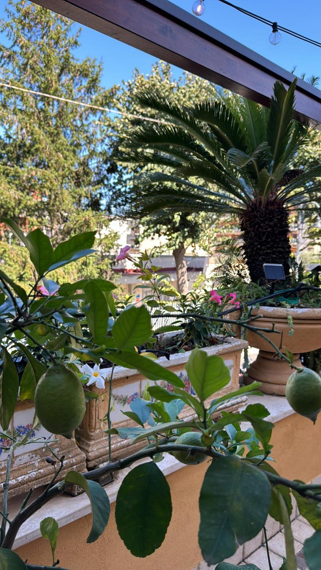 Bed and Breakfast Relais Sorrento Terrace&Relax Exterior foto